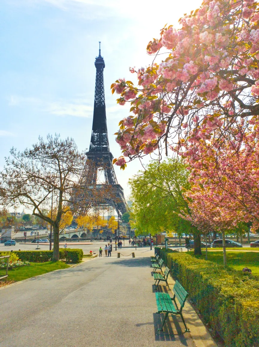 Francia image